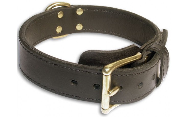 Leather collar + Leashes