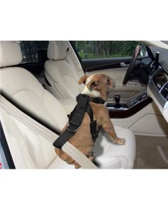 Topmast Auto-Veiligheidstuig Verstelbaar. 