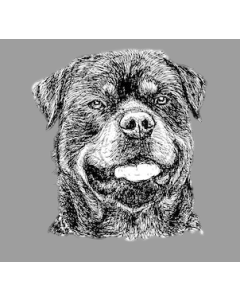 Vet Bed Rottweiler Head - Non Slip