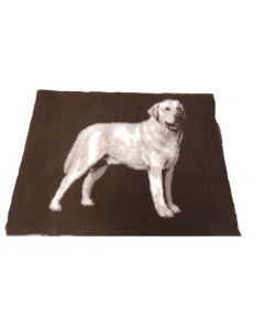 Vet Bed Labrador Bruin Dog anti-slip