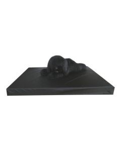 Health Mattress Leatherlook Black