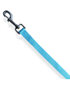 Topmast Hondenriem - Duurzaam Nylon - Sterke Musketonhaken - Lichtblauw