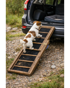 Car Ramp for Dog 165 cm
