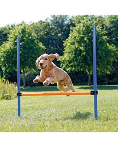 Agility Adjustable Hurdle 1m