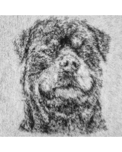 Vet Bed Rottweiler - Antislip Hondenmat