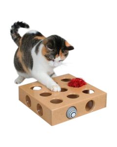 Wooden Cat Play