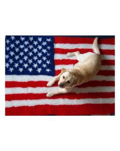 Vet Bed Amerikaanse Vlag - Antislip Hondenmat