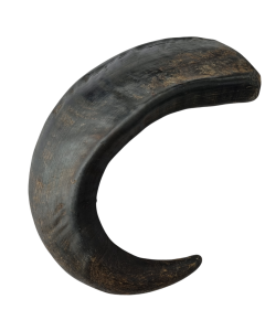 Runderhoorn Klein  ca. 100 Gram